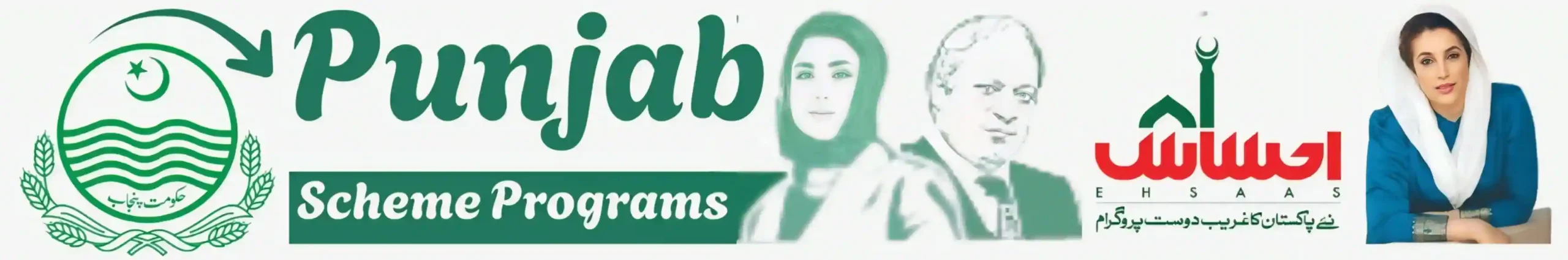 Punjab Scheme | 8171 Web Portal